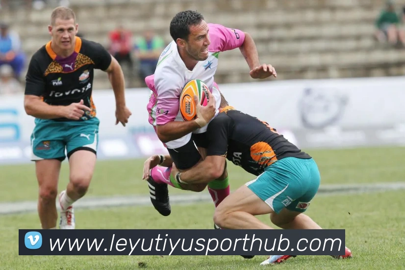 乐鱼体育发展历程